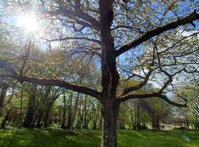 Avec Prive 4* Drulingen